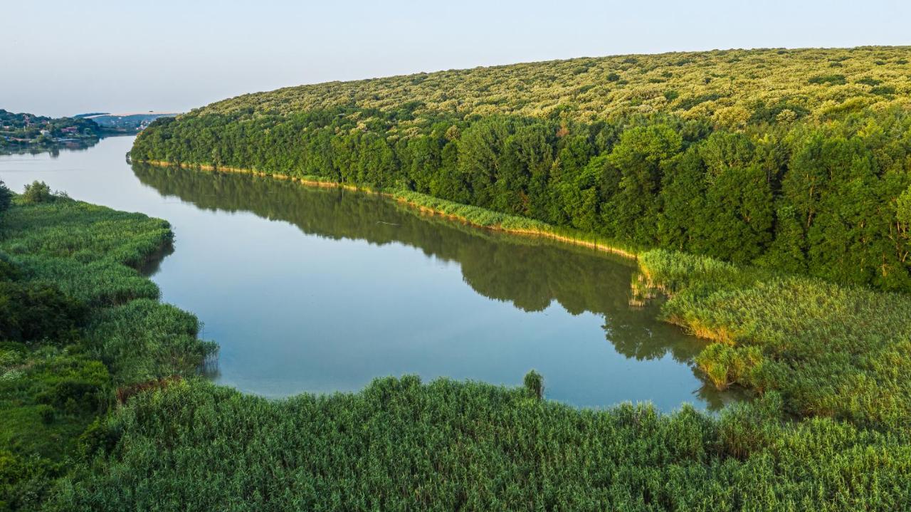 Вила Теkето I Vila Teketo Family Guest House Nikolovo المظهر الخارجي الصورة